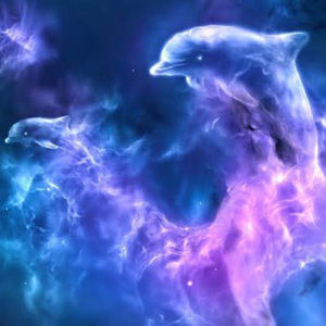 Meet your Posher, Fiona